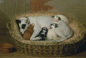 Chienne avec ses chiots dans un panier en osier